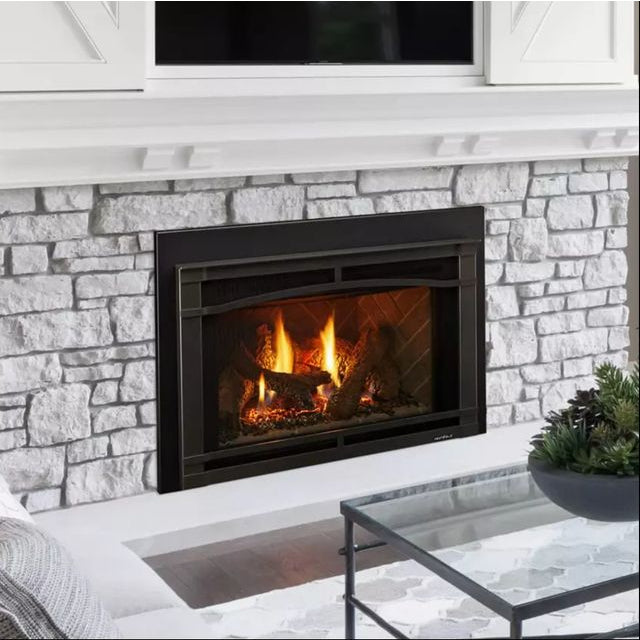 Supreme Insert 25" Gas Insert