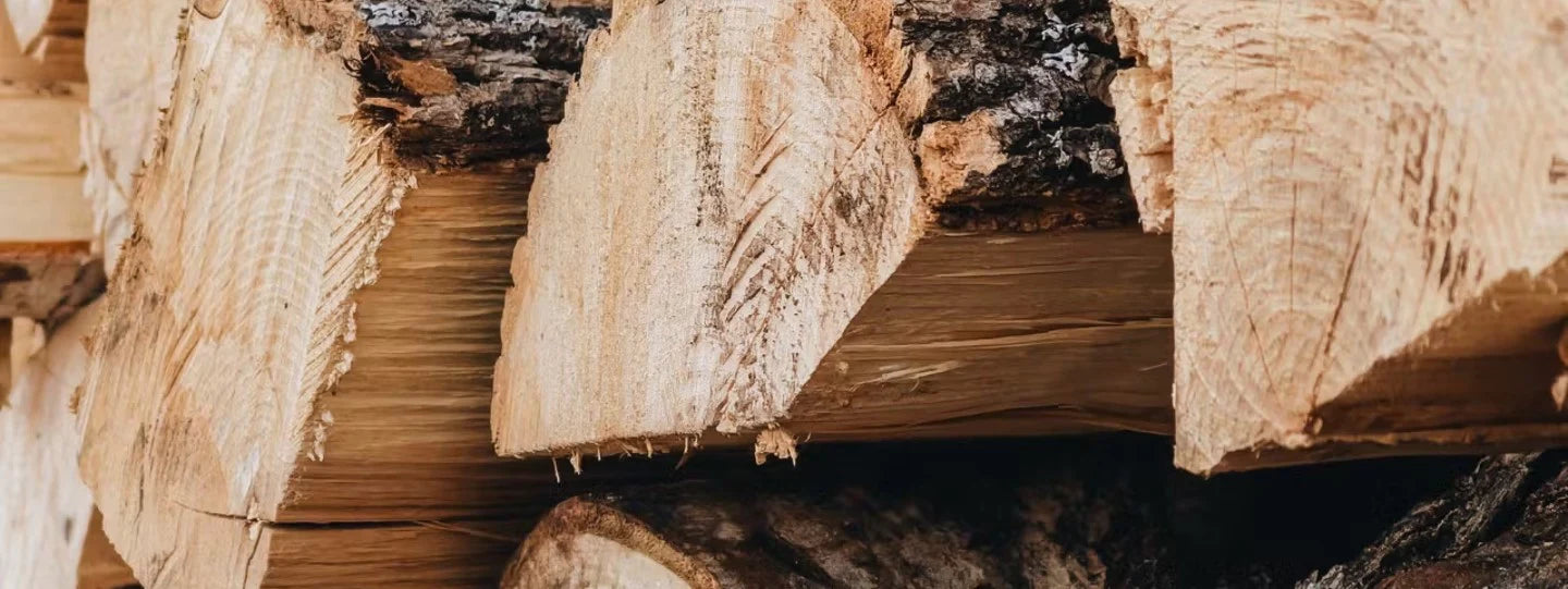 What Wood Should I Burn in My Fireplace?