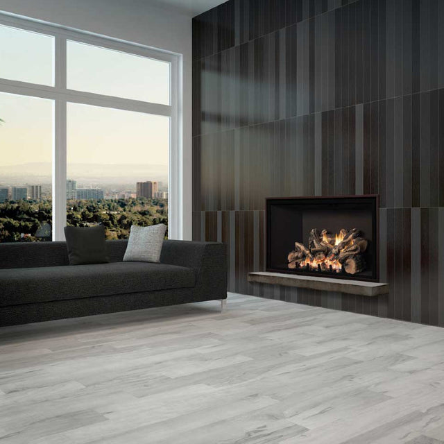 FV48 FullView Gas Fireplace
