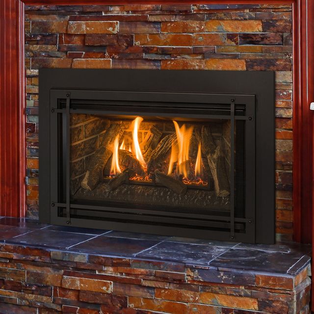 Chaska 29 Gas Insert