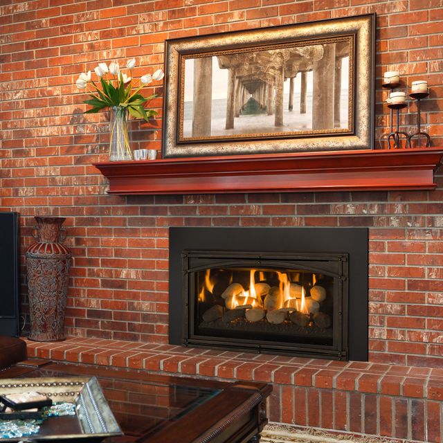 Chaska 29 Gas Insert