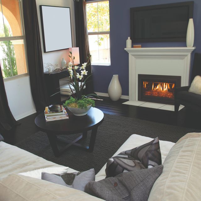 Chaska 29 Gas Insert