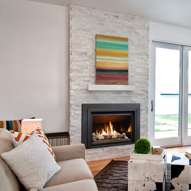 Chaska 34 Gas Insert